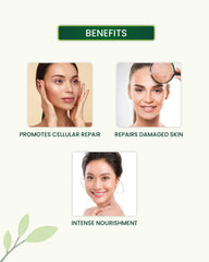 Shea Body Butter Benefits