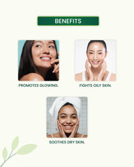 Tea Tree Essential Oil Benefits