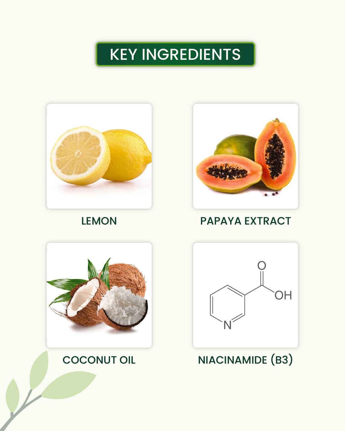 Daily Oil Free Face Moisturizer 150ml Key Ingredients